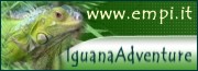 IguanaAdventure