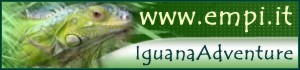 IguanaAdventure