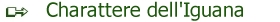 Charattere.jpg (7702 byte)