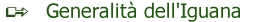 Generalita.jpg (7396 byte)