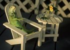denzer-parker-jacque-green-iguana-sitting-in-adirondak-chair  Iguana &#34;in pose&#34;