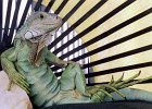 hasbro pose by henry lizardlover  Leguan repose