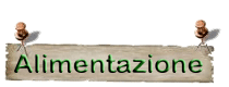 alimentazione1.gif (8226 byte)