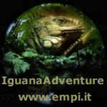 IguanaAdventure