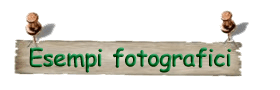 esempi fotografici