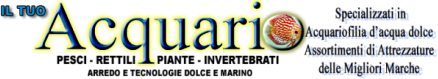 iltuoacquario.com