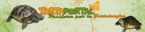 tartaportal