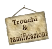tronchi e rami